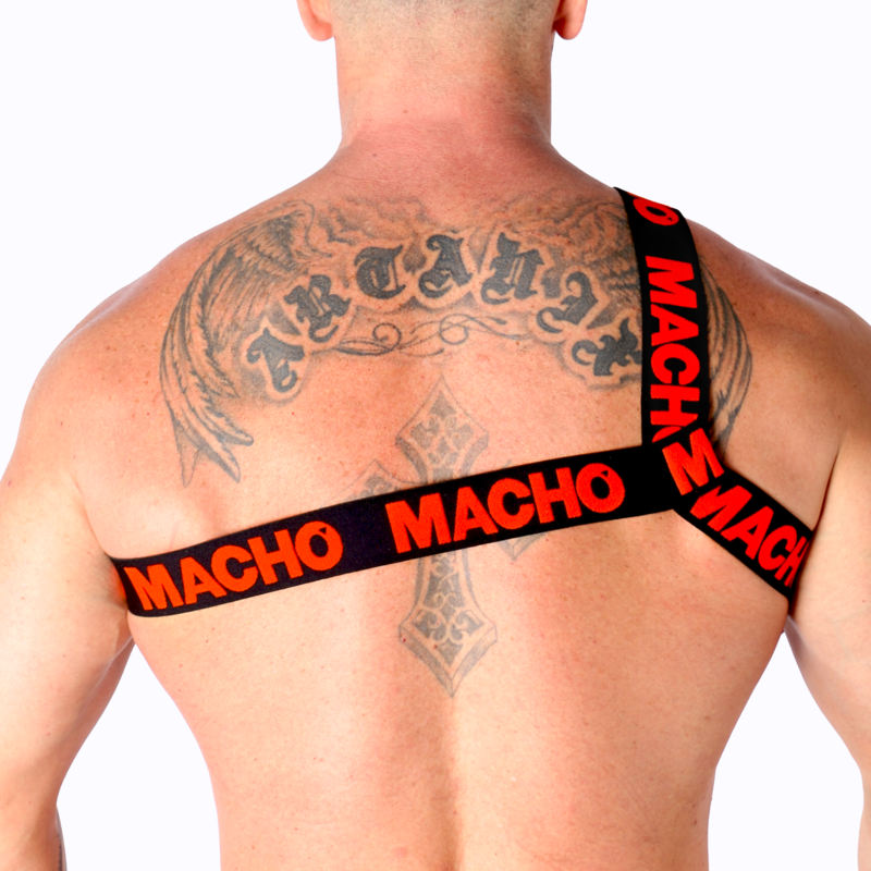 MACHO - ROMAN HARNESS PRIDE L/XL