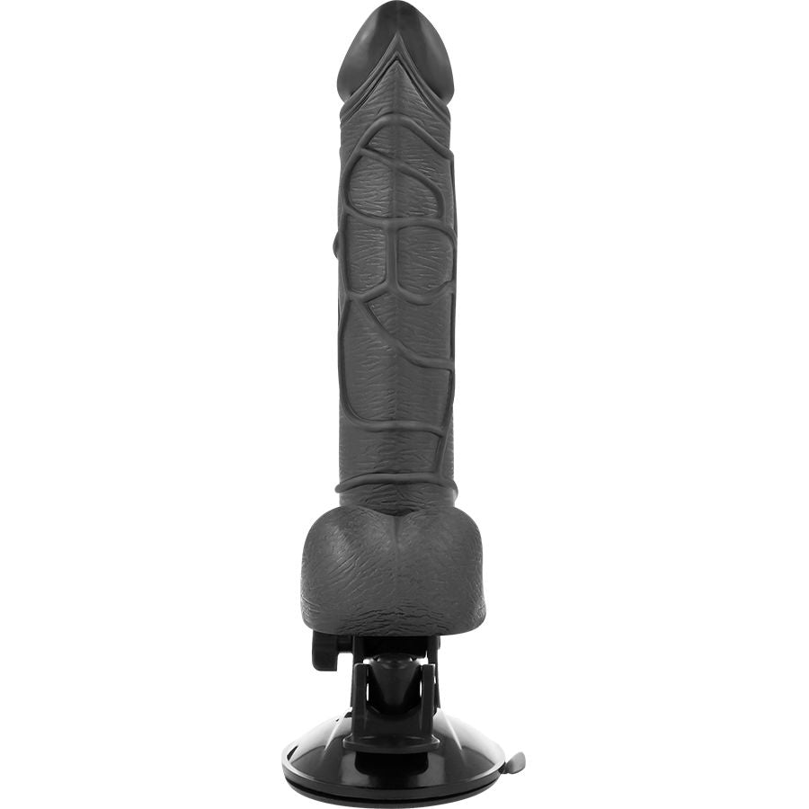 Realistic Vibrator with Testicles & Wired Remote Black | 19.5 cm x 4.0 cm | BASECOCK